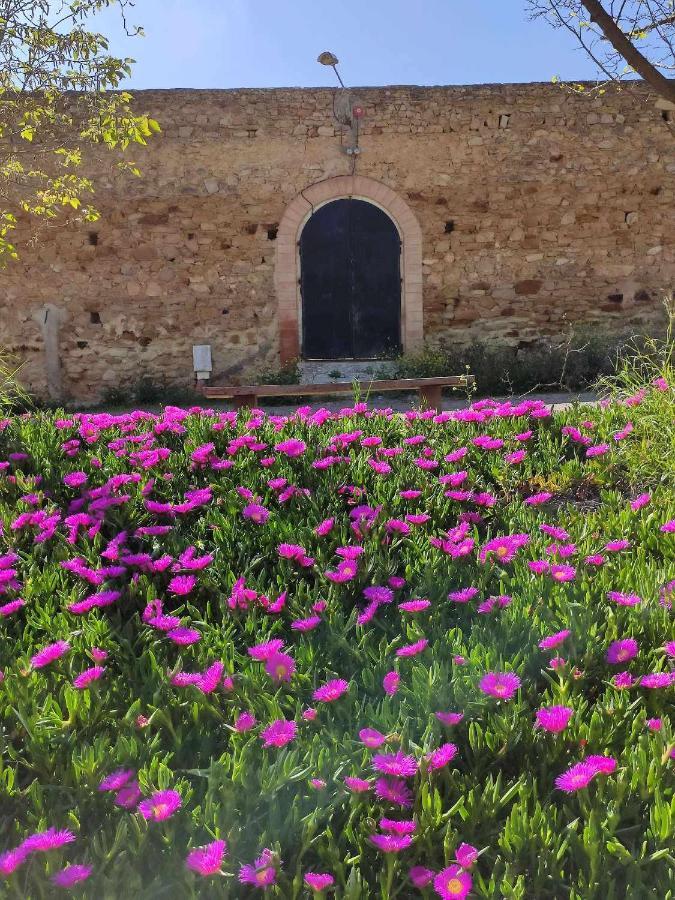 Finca Las Rosas De Santa Ana Вилямартин Екстериор снимка