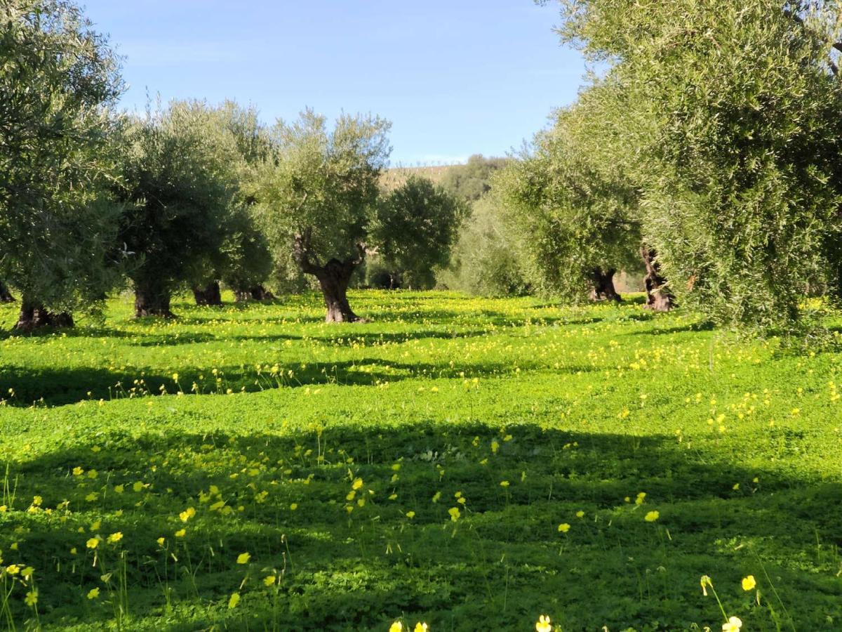 Finca Las Rosas De Santa Ana Вилямартин Екстериор снимка