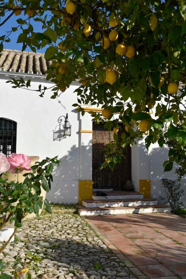 Finca Las Rosas De Santa Ana Вилямартин Екстериор снимка