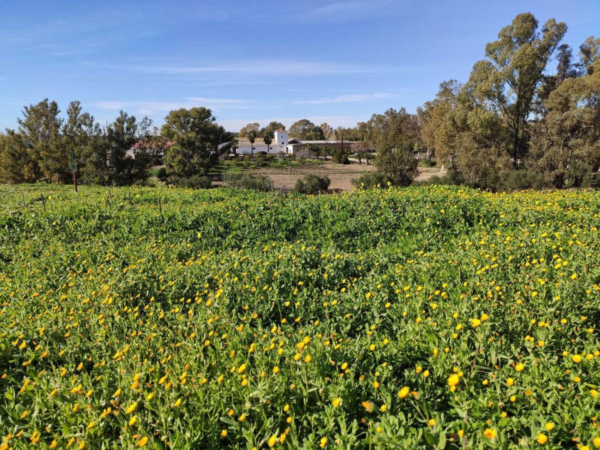 Finca Las Rosas De Santa Ana Вилямартин Екстериор снимка